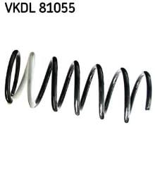 SKF VKDL 81055